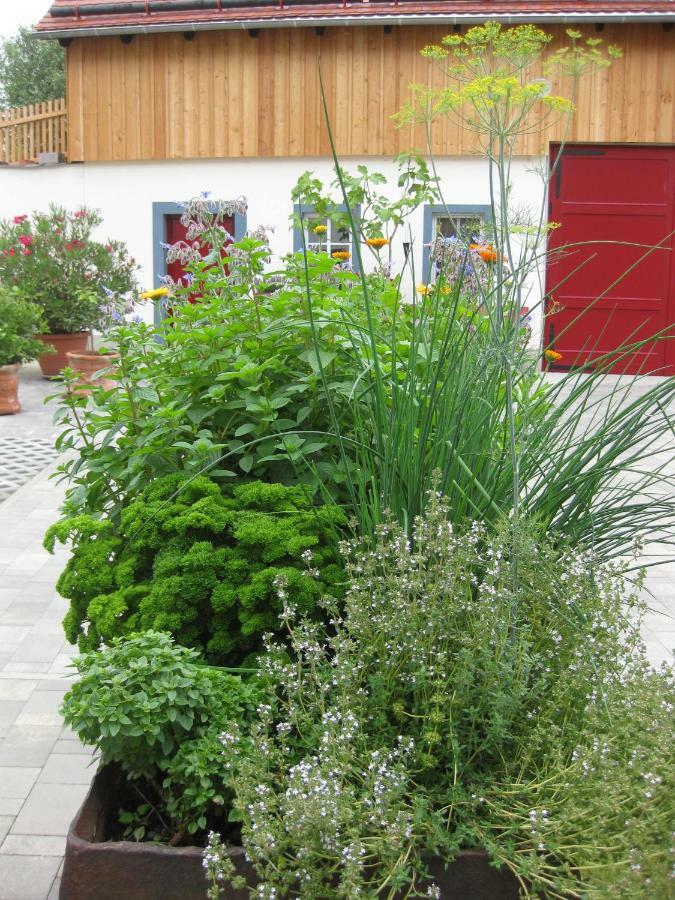 Hossies Hof - Luxus Alter Stall Apartment Bertsdorf